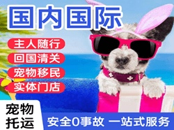 安顺黄果树机场货运国际宠物托运 【国